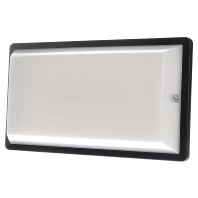 672182.003 - Emergency luminaire 6,2W IP55 672182.003