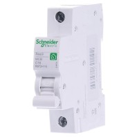 R9F24116 - Miniature circuit breaker 1-p C16A R9F24116