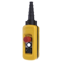 XACA2713 - Pendant control station 2 buttons XACA2713