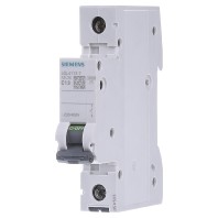 5SL4113-7 - Miniature circuit breaker 1-p C13A 5SL4113-7