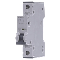 5SY4102-6 - Miniature circuit breaker 1-p B2A 5SY4102-6