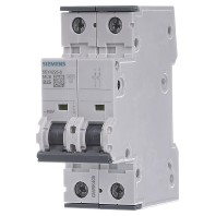 5SY4225-6 - Miniature circuit breaker 2-p B25A 5SY4225-6