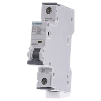 5SY6125-6 - Miniature circuit breaker 1-p B25A 5SY6125-6