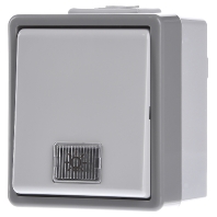 5TA4711 - Off switch 1-pole surface mounted grey 5TA4711