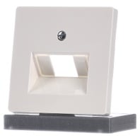 5TG2543 - Central cover plate UAE/IAE (ISDN) 5TG2543