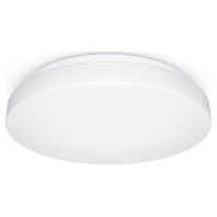 RS PRO P1 #069674 - Ceiling-/wall luminaire RS PRO P1 069674