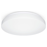 RS PRO P2 #069735 - Ceiling-/wall luminaire RS PRO P2 069735