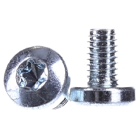 RZ12P20 (VE20) - Machine screw M6x10mm RZ12P20 (quantity: 20)