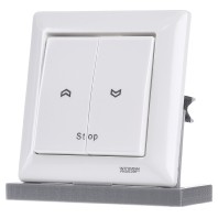 WSK 100 1161 - Push button white WSK 100 1161