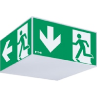 Emergency luminaire Exit Cube 33042 CG-S