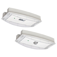 Emergency luminaire I-P65 Plus L CG-S