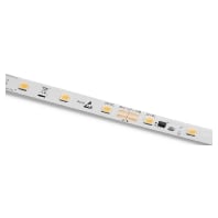 LED-Stripe 5m 24VDC 3000K IP66 50413133T