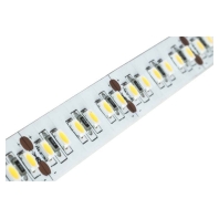 LED-Flexband 5000mm 24V 3100K IP00 15206003