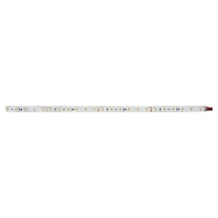 Light ribbon-/hose/-strip 24V white 19304106