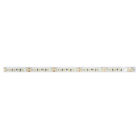 Light ribbon-/hose/-strip 24V white 19305006