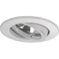 Downlight/spot/floodlight 1x50W 32006070