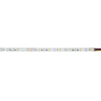 Light ribbon-/hose/-strip 24V RGBW 38274002
