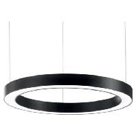 Pendant luminaire 1x50W 13650183