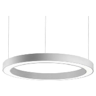 Pendant luminaire 1x50W 13640163