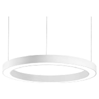 Pendant luminaire 1x25W 13655173