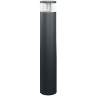 LED-Pollerleuchte 3000K anth DALI BL-ALV20018830ANTDAL