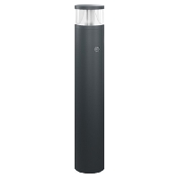 LED-Pollerleuchte 3000K anth DALI BL-ALV20018830ANTADA