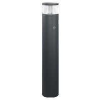 LED-Pollerleuchte 4000K anth DALI ALVABL940EL10820427