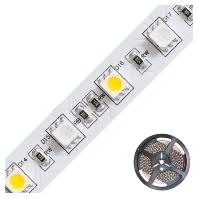 LED-Strip 5m RGB+3K 24VDC IP20 SB202430509902