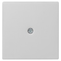 Central cover plate 0274015