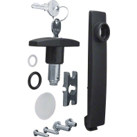 Toggle handle lock system for enclosure FZ531