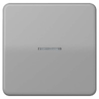 Intelligent control element grey FM CD 1700 GR