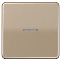Intelligent control element bronze FM CD 1700 GB