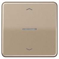 Intelligent control element bronze FM CD 1700 P GB