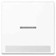 Cover plate for switch/push button white A 590 BF NA KO5 WW