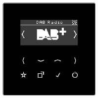 Radio receiver DAB LS SW