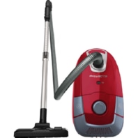 Canister-cylinder vacuum cleaner RO3154 rt/gr