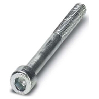 Machine screw CES-SFFS-H