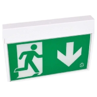 Emergency luminaire 3,2W IP43 KMU019ML