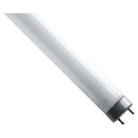 UV lamp 55W G13 18103