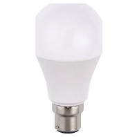 LED-lamp/Multi-LED 90...260V white 31877