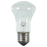 Standard lamp 60W 230V E27 clear 41731