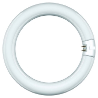 Fluorescent lamp ring shape 32W 29mm 68818