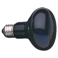 Schwarzlichtlampe 80x103mm E27 240V 75W 40883