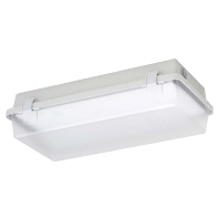 Emergency luminaire 10W IP65 164KL L11G2 ZB