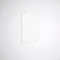 Ceiling-/wall luminaire LED exchangeable Olisq QWD3 8253140