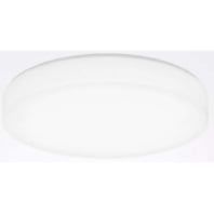 Ceiling-/wall luminaire LED exchangeable Olisq RWD2 8197740