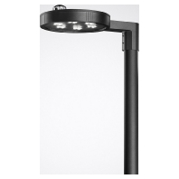 LED-Mastaufsatzleuchte 740, anthrazit Publisca P3 7649840