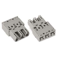 Connector plug-in installation 770-253