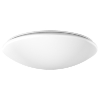 Ceiling-/wall luminaire 1x21W 311946.002.3.19