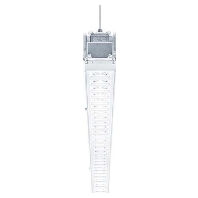 Strip Light 1x30,1W LED not exchangeable TECTON MIRE42185321